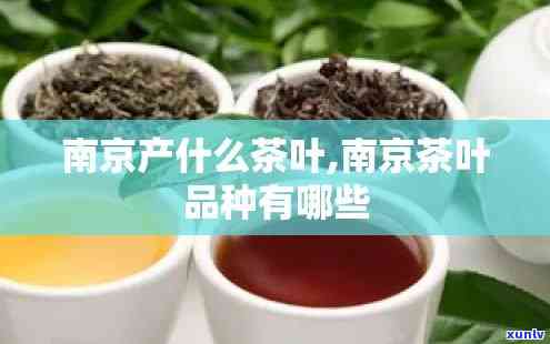 南京茶叶有哪些名称，探秘南京：知名茶叶大揭秘