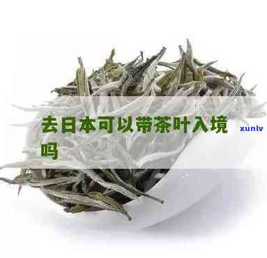 可以送人茶叶吗-可以送人茶叶吗现在