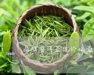 物美价的茶叶-茶叶性价比较高的