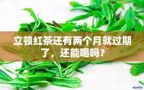 立顿过期茶叶能喝吗？有吗？