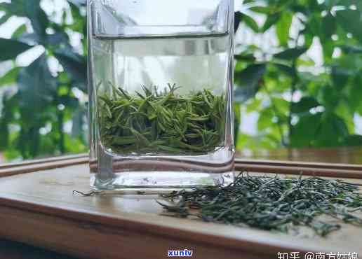 冷泡茶用茶叶：新茶 vs 陈茶，该选哪个？