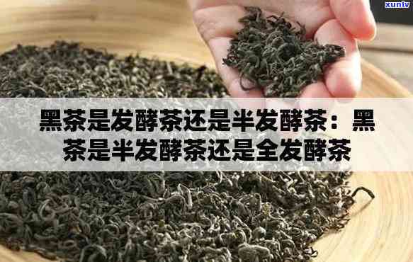 哪种茶叶是半发酵茶-哪种茶叶是半发酵茶类