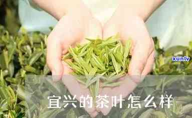 宜兴茶叶怎么样？口感如何，值得一试吗？