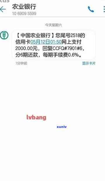 黄翡翠龙牌雕刻图案大全：精美图片与详细解析