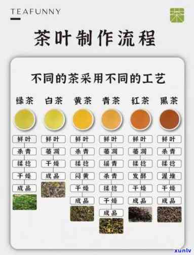 茶叶加工学名词解释-茶叶加工学名词解释是什么