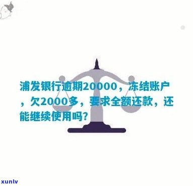 发逾期2000多-发逾期两个月,要求全额,没能力还怎么办