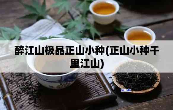 醉江山茶叶是真的吗还是假的，真相揭秘：醉江山茶叶是真是假？