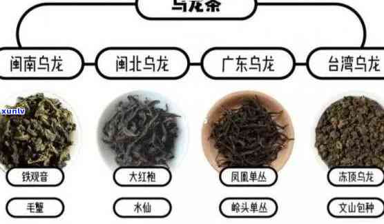 哪种茶叶属于发酵茶类：乌龙茶、红茶还是黑茶？