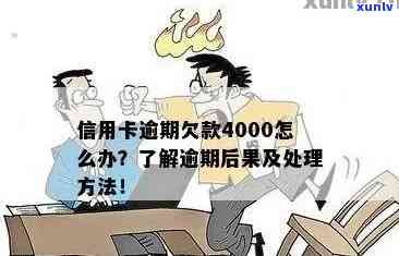 发逾期4000元-发逾期4天,现在要我全额还款,怎么办