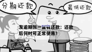 发逾期还款后什么时候可以正常采用，怎样恢复正常采用？详解发逾期还款后的解决步骤