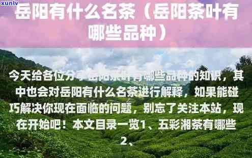 阳什么茶叶比较出名，探秘阳：哪些茶叶更具名？