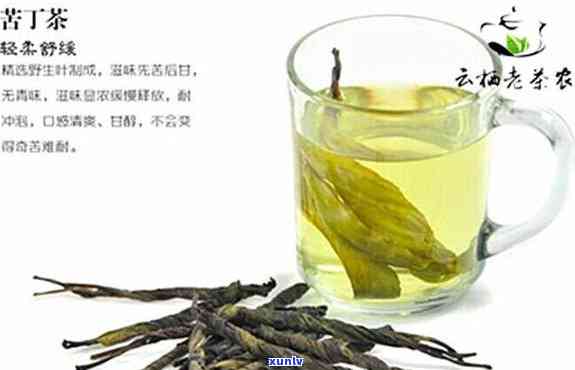 海南特产苦丁茶价格，揭秘海南特产：苦丁茶的价格与品质全解析