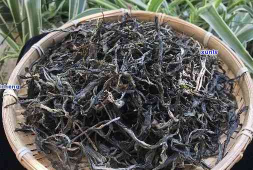 什么饮用茶叶是散茶-什么饮用茶叶是散茶的