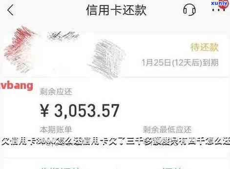 发3000元逾期-发逾期3天,现在要我全额还款,怎么办