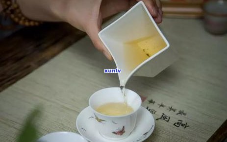 天醇茶叶白芽奇兰茶三叶，品味自然：天醇茶叶白芽奇兰茶，清新三叶香