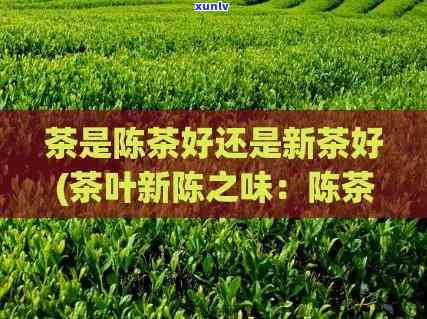 陈茶叶怎么变成新茶-陈茶叶怎么变成新茶了