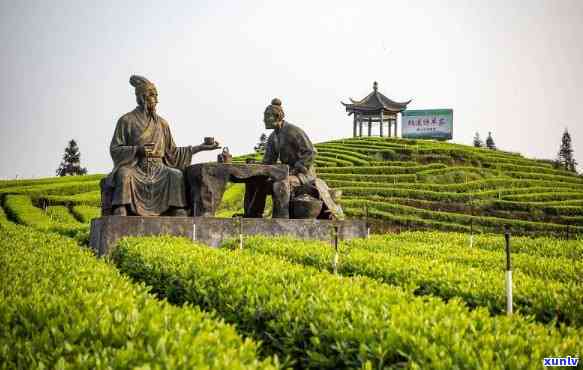 州有名的茶叶，探寻州名茶：品味这座城市独特的茶文化