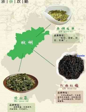 州有名的茶叶，探寻州名茶：品味这座城市独特的茶文化