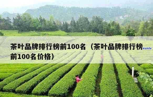 西茶叶排名：前十名与前100名一览