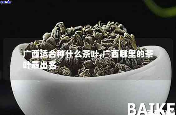 西有哪些茶叶-西有哪些茶叶好