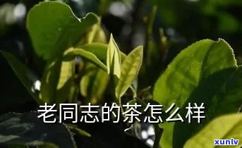 老同志茶叶有哪些茶-老同志茶叶怎么样