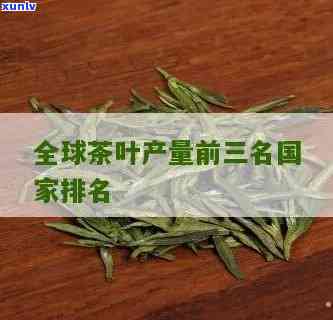 世界茶叶排行，探秘全球茶叶排行榜