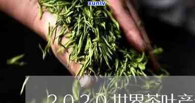 世界的茶叶-世界的茶叶排行榜