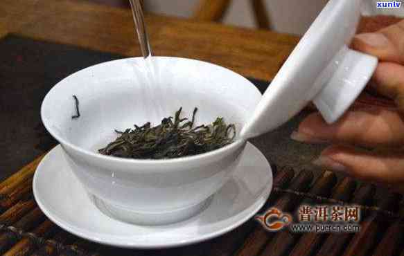 哪些茶叶不用洗茶：泡茶新手必知的常识