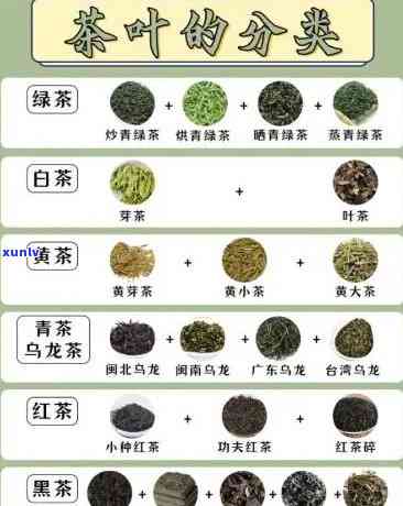 哪种茶叶不用洗，无需清洗的茶叶，你了解吗？