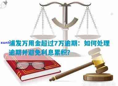 浦发万用金逾期多久会被起诉？期限、程序及成功率全解析