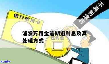 浦发5万万用金逾期-浦发5万万用金逾期怎么办