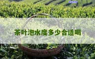 茶叶多少度水泡合适-茶叶多少度水泡合适呢