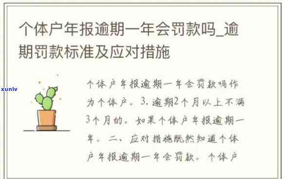 个体工商户年报逾期：处罚标准及补报指南