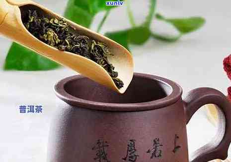 泡茶该放多少茶叶，泡茶的艺术：如何掌握茶叶的量？