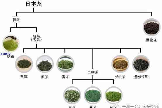 茶叶的开始时期是什么，探究茶叶的历起源：从何时开始饮茶之风？