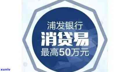 翡翠马吊坠设计稿：详细信息、 *** 材料、款式选择等全方位解析