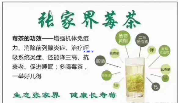 张家界茶叶品种莓茶价格全揭秘：最新报价表与市场行情分析