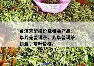 芳华茶叶品种介绍，探索芳华茶叶的魅力：品种介绍与品尝指南