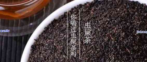 一斤茶叶产多少虫茶合适？影响产量的因素是什么？