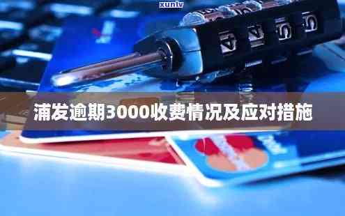 浦发全额还款后降额到3000，怎样解决？