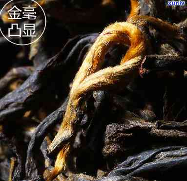 金帆茶叶与澜沧古茶哪个好，金帆茶叶 vs 澜沧古茶：一场口感的较量