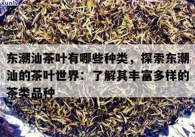 潮汕茶叶：名茶大全及推荐