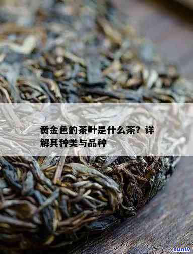 带金边的茶叶是什么茶？详解其种类与分类