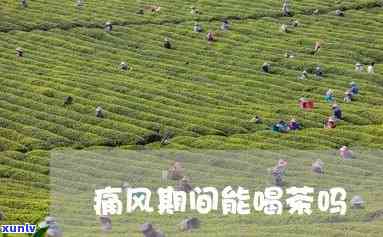 痛风能不能喝茶叶茶-痛风能不能喝茶叶茶?