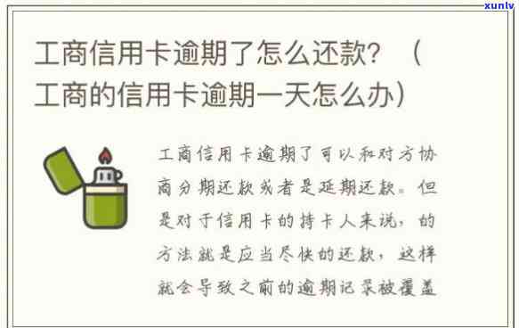 一盒普洱茶：探索云南古树茶的魅力、品种与品饮 *** 