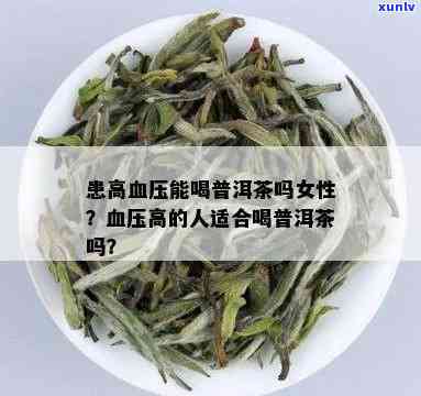 七子饼冰岛普洱茶价格：对比分析与购买指南