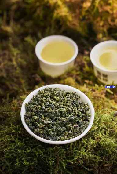 茶叶喝新茶还是老茶比较好，探讨茶叶：新茶与老茶，哪种更好？