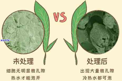 破壁机能打茶叶吗，破壁机是否能用于 *** 茶饮？