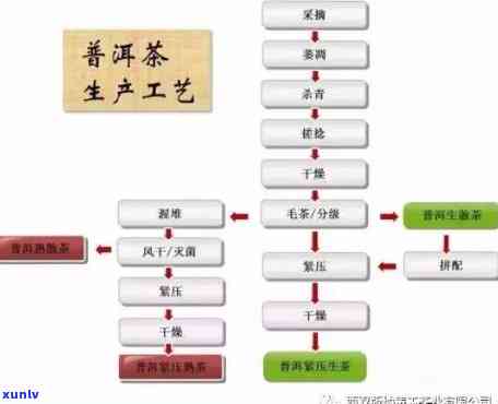 茶叶如何标准化生产工艺，标准化生产：茶叶的工艺流程与质量管理