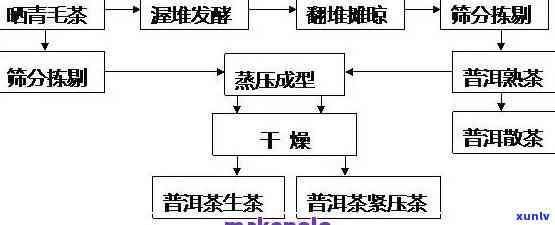 茶叶如何标准化生产工艺，标准化生产：茶叶的工艺流程与质量管理